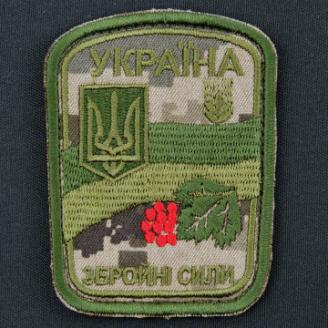 Шеврон 
